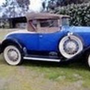 Meet your Posher, Kitty